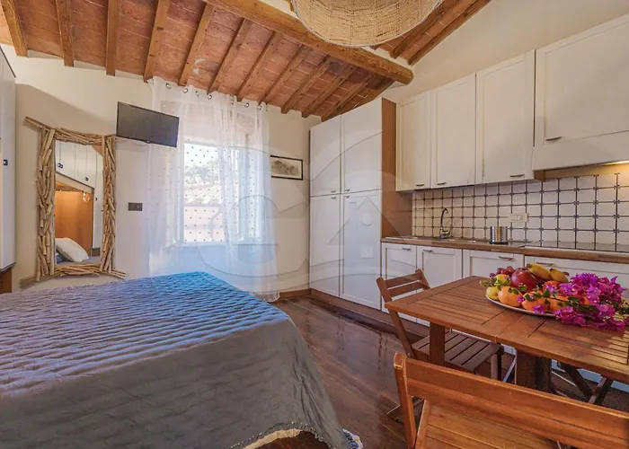 Il Comandante - Goelba *