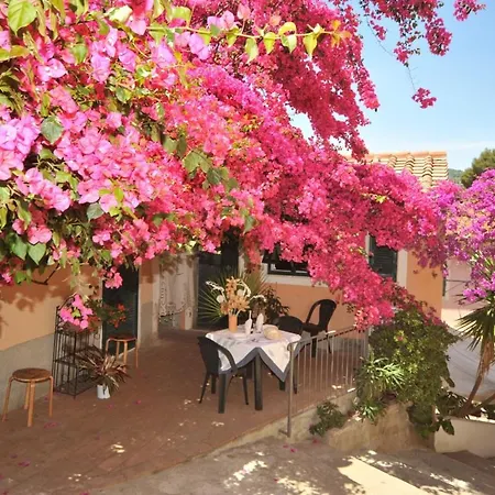 Il Comandante - Goelba Apartman Porto Azzurro